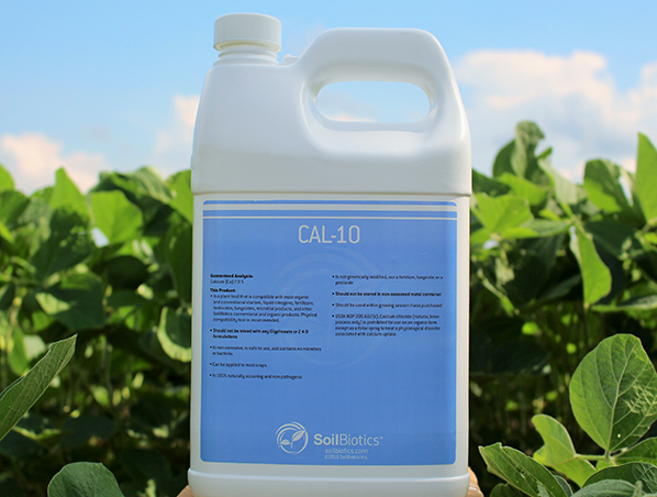 CAL 10